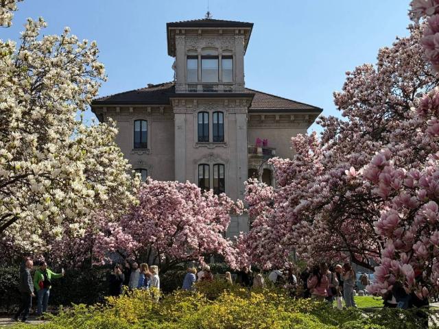 Appartamento in affitto a Milano MI