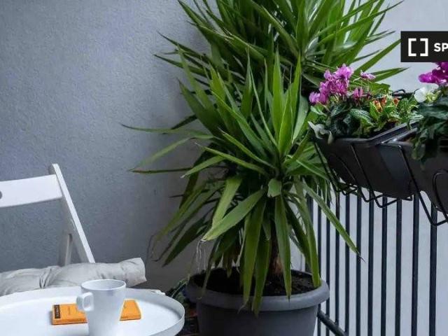 Appartamento in affitto a Milano MI