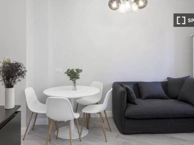 Appartamento in affitto a Milano MI