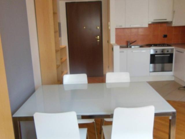 Appartamento in affitto a Milano MI