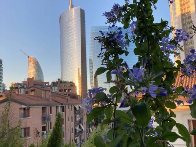 Appartamento in affitto a Milano MI