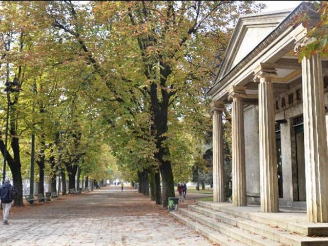 Appartamento in affitto a Milano MI