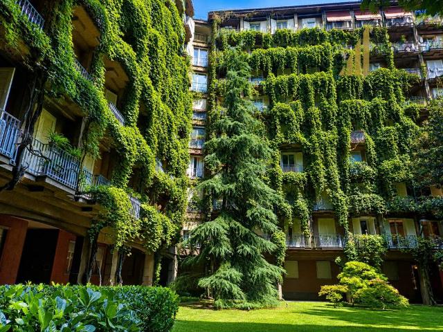 Appartamento in affitto a Milano MI