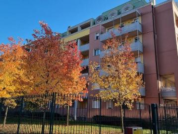 Appartamento in affitto a Milano MI