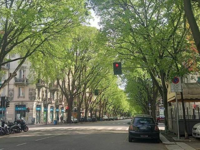 Appartamento in affitto a Milano MI