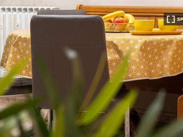 Appartamento in affitto a Milano MI