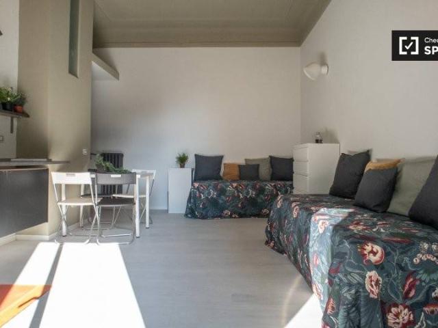 Appartamento in affitto a Milano MI