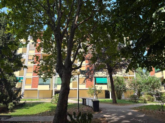 Appartamento in affitto a Milano MI