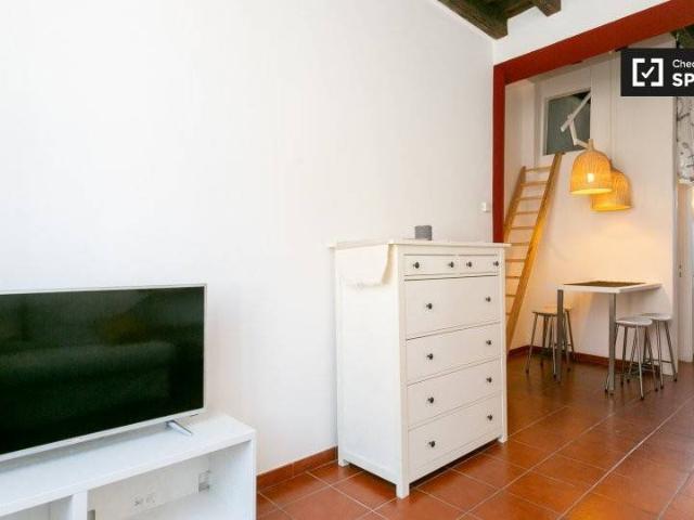 Appartamento in affitto a Milano MI