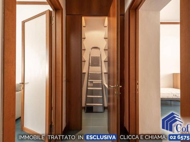 Appartamento in affitto a Milano MI