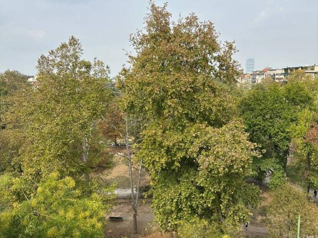 Appartamento in affitto a Milano MI