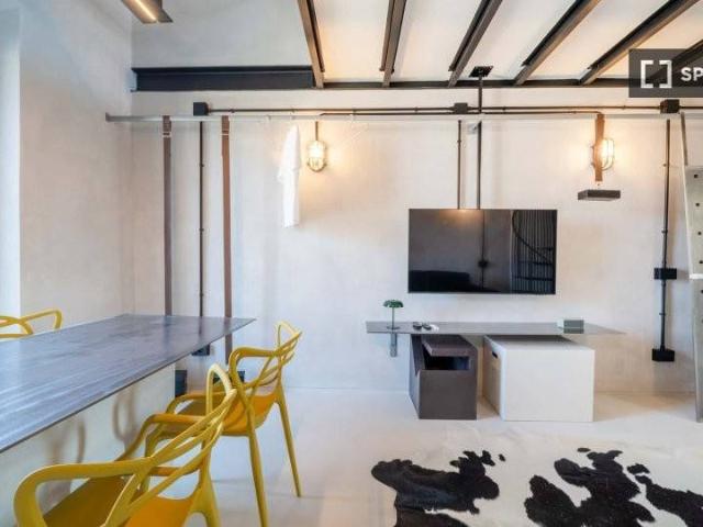 Appartamento in affitto a Milano MI