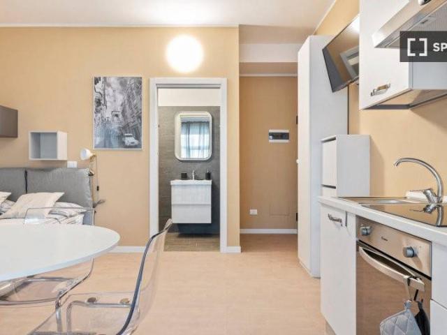 Appartamento in affitto a Milano MI