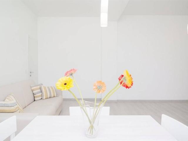 Appartamento in affitto a Milano MI