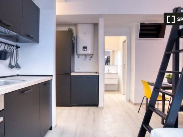 Appartamento in affitto a Milano MI
