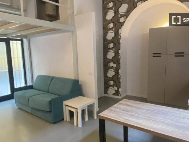Appartamento in affitto a Milano MI