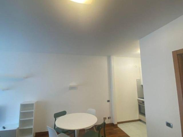 Appartamento in affitto a Milano MI