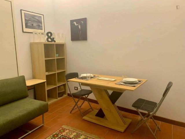 Appartamento in affitto a Milano MI