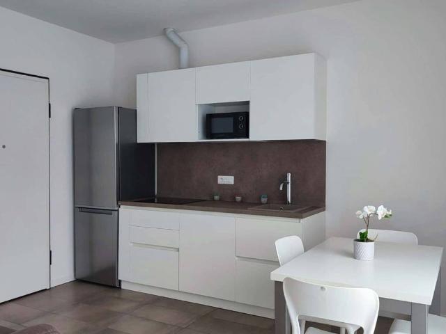Appartamento in affitto a Milano MI