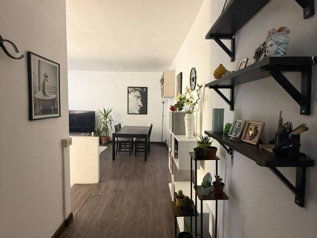 Appartamento in affitto a Modena MO