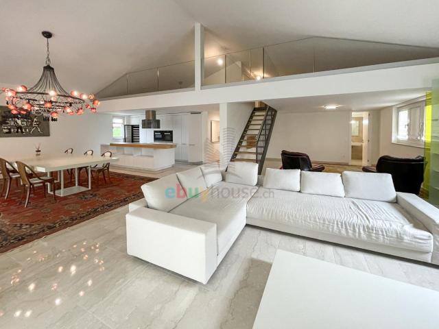 Appartamento in affitto a Montagnola moderno ammobiliato vicino a Tasis con vista lago e giardino privato