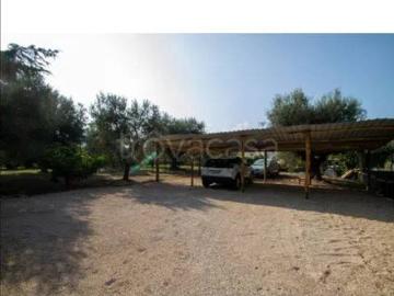 Appartamento in affitto a Montalto di Castro via Dei Salici, giardino, terrazzo, caminetto TrovaCasa