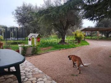 Appartamento in affitto a Montalto di Castro via Dei Salici, giardino, terrazzo, cancello elettrico TrovaCasa