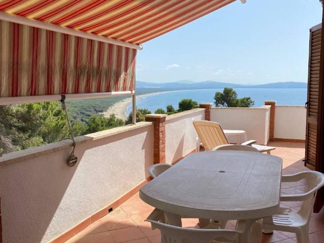 Appartamento in affitto a Monte Argentario GR