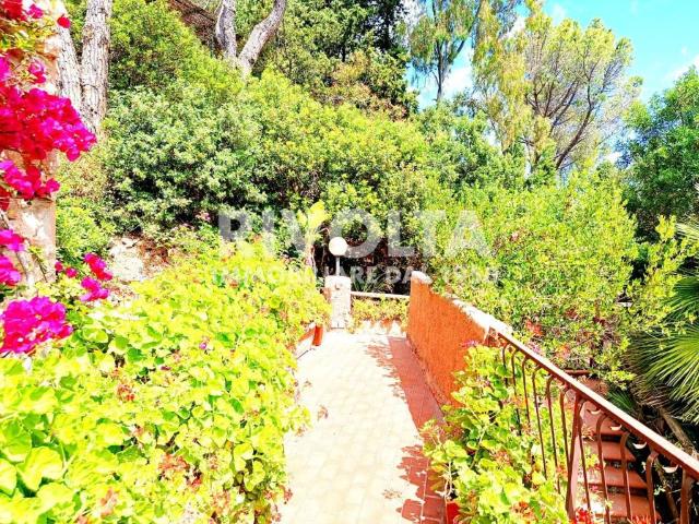 Appartamento in affitto a Monte Argentario GR
