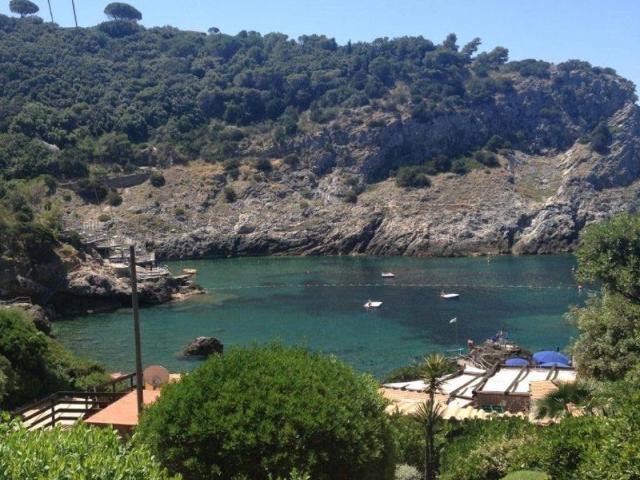 Appartamento in affitto a Monte Argentario GR