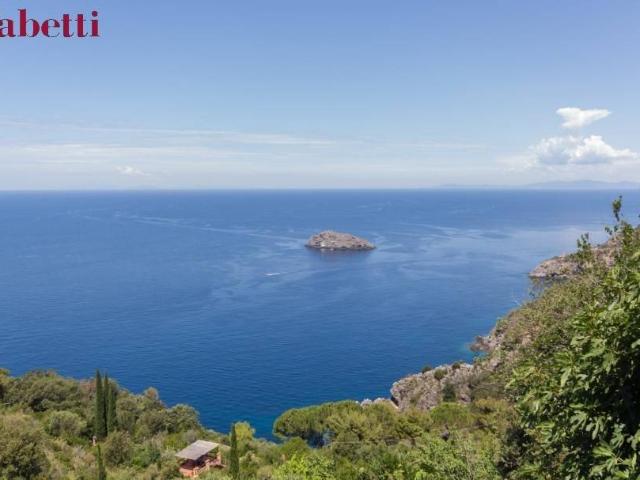 Appartamento in affitto a Monte Argentario GR
