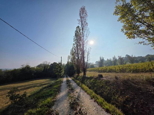 Appartamento in affitto a Monte San Pietro BO