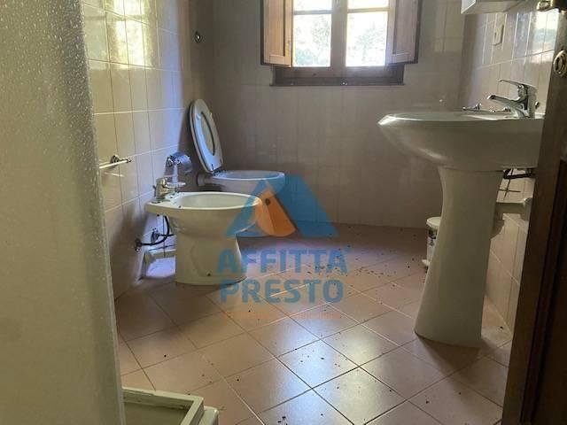 Appartamento in affitto a Montespertoli TrovaCasa
