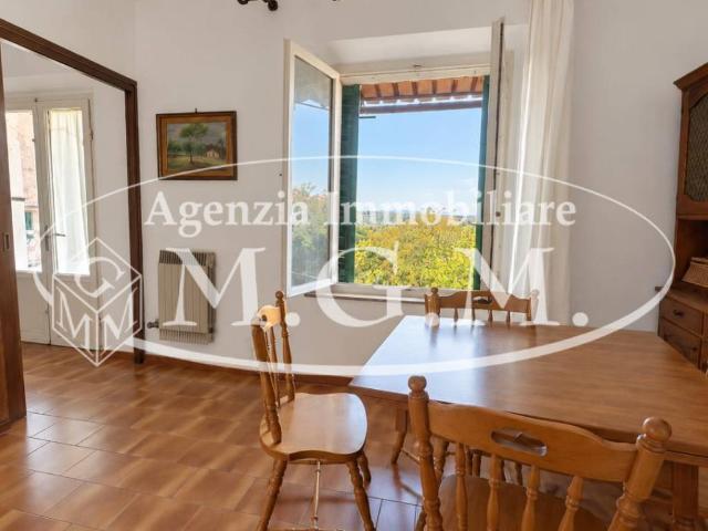 Appartamento in affitto a Montopoli in Val d'Arno PI