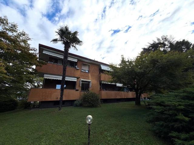 Appartamento in affitto a Monvalle VA