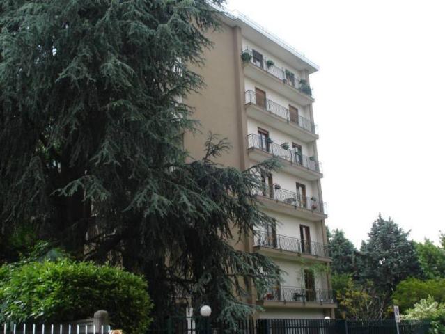 Appartamento in affitto a Monza MB
