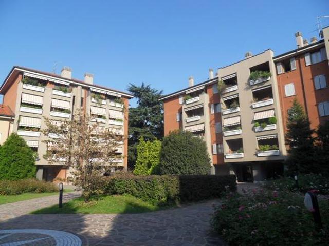 Appartamento in affitto a Monza MB