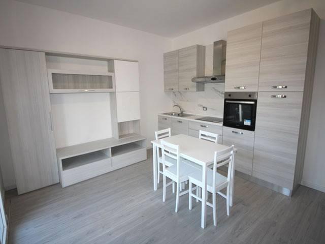 Appartamento in affitto a Monza MB
