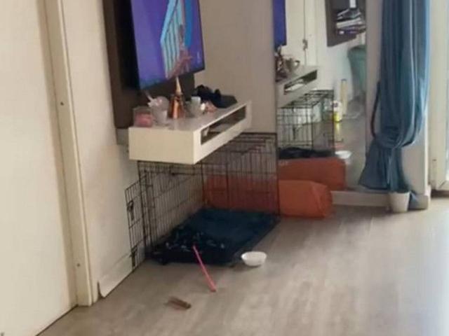 Appartamento in affitto a Napoli