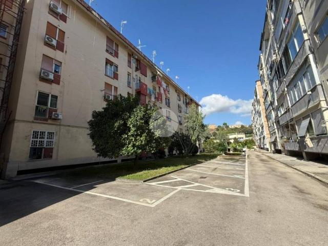 Appartamento in affitto a Napoli via giacomo leopardi, 142, arredato, ascensore, ultimo piano TrovaCasa