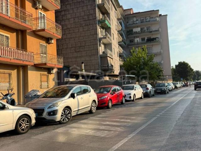 Appartamento in affitto a Napoli via Domenico Pallucci, arredato, giardino privato, terrazzo TrovaCasa