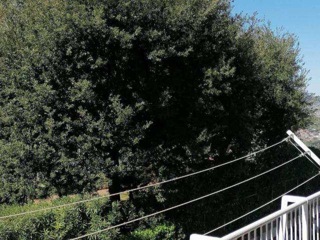 Appartamento in affitto a Napoli NA