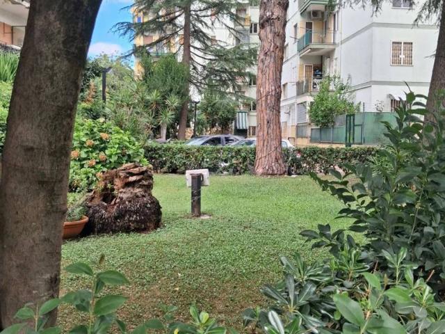 Appartamento in affitto a Napoli NA