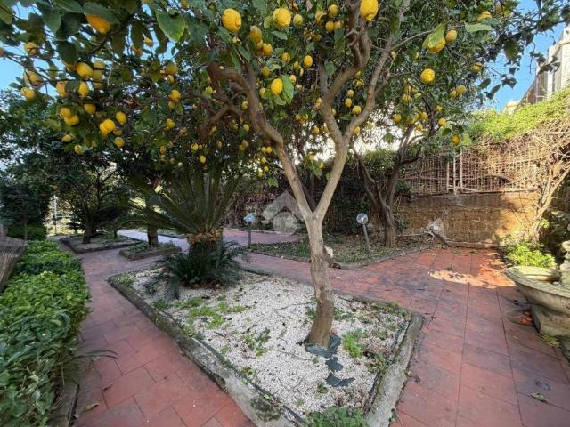 Appartamento in affitto a Napoli NA