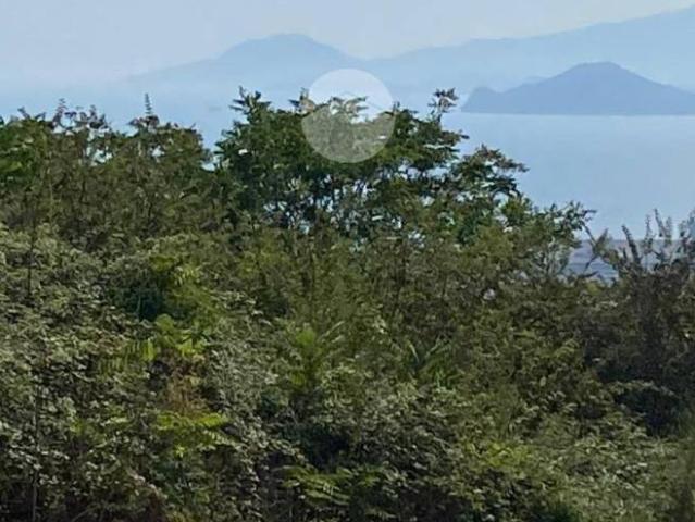 Appartamento in affitto a Napoli NA