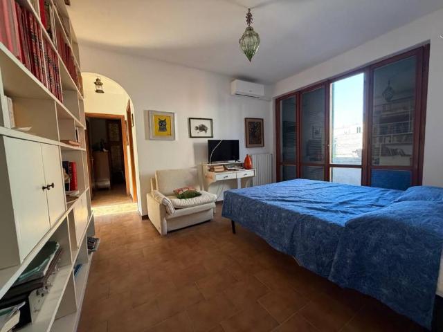 Appartamento in affitto a Nettuno RM