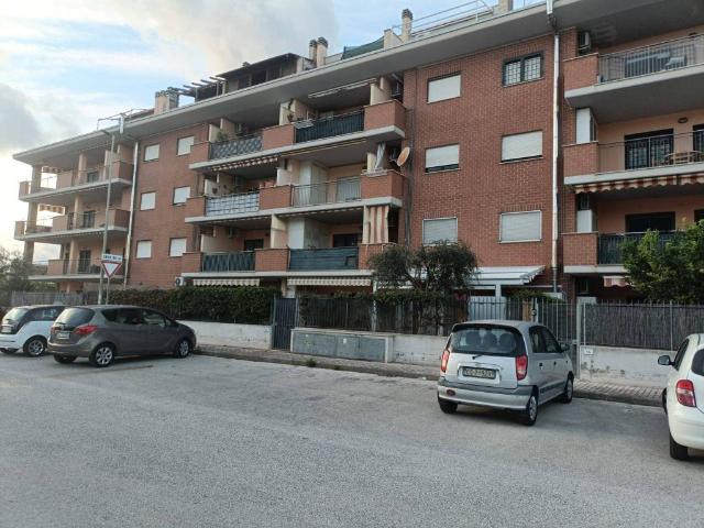 Appartamento in affitto a Nettuno RM