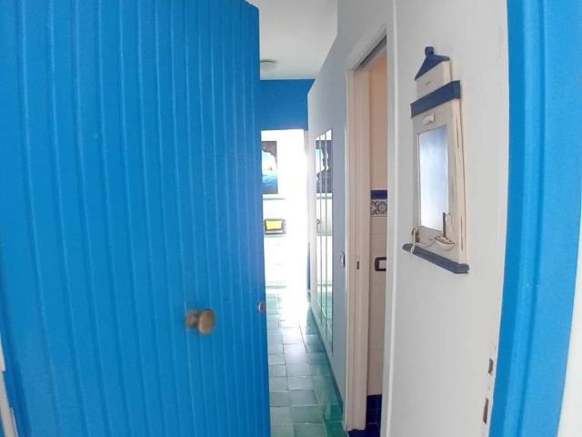 Appartamento in affitto a Nettuno RM