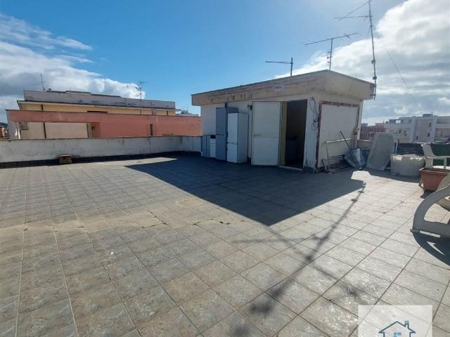 Appartamento in affitto a Nettuno via trieste 3