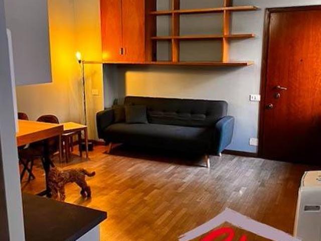 Appartamento in affitto a Novara NO